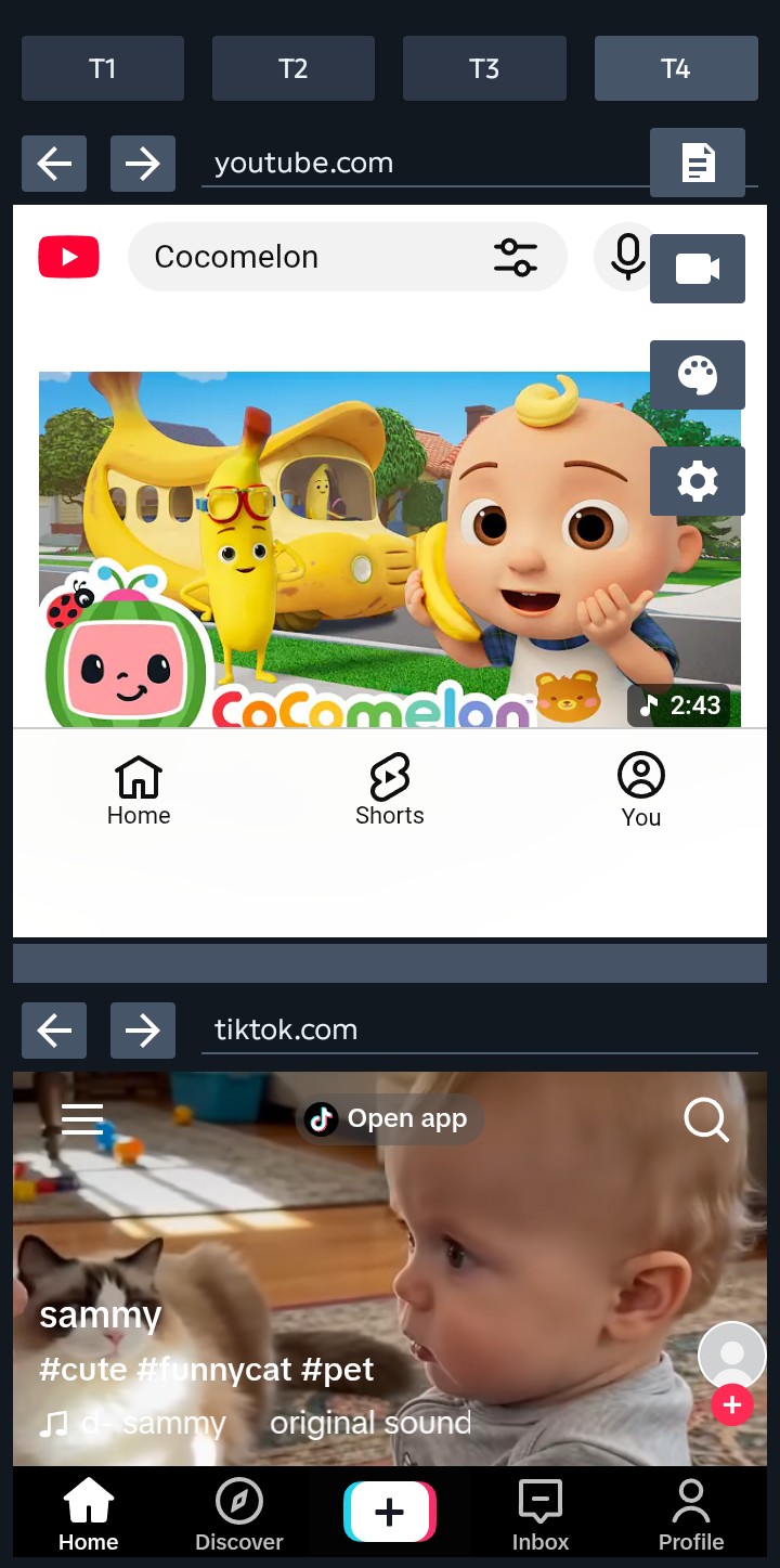 Split Dual Browser Tab 4 showing YouTube and TikTok